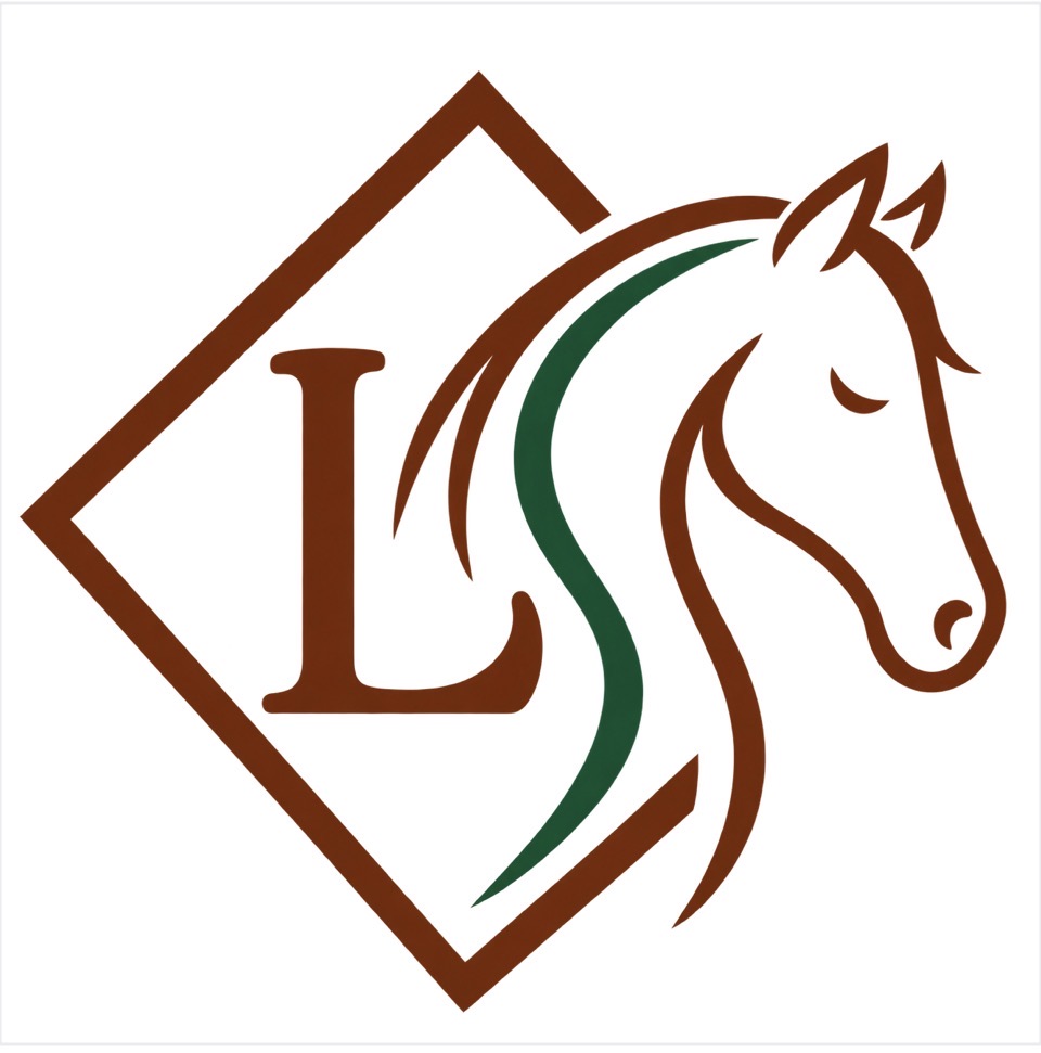 Diamond L Craniosacral & Bodywork logo
